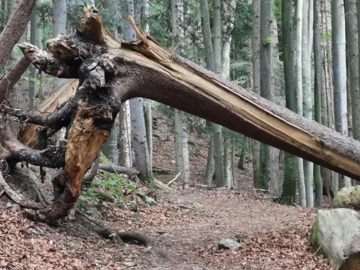 Ferienlandhaus Alpinum Lenggries Luaran gambar